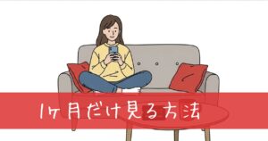 Netflixを1ヶ月だけ見る方法！プリペイドカード