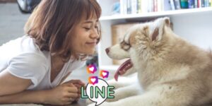 LINEからインスタに飛べないのはブロック？原因と対処法まとめ【最新】